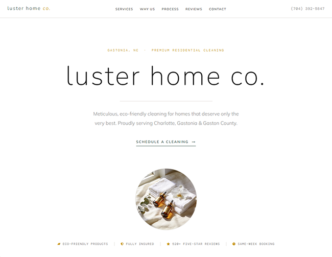 House Cleaning demo site preview